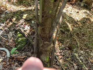 I Hide Behind a Tree and Watched the Bath