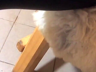 Milfycalla Compilation - Fetish Sex, Blow-jobs and Rough Sex While Wearing Sexy Fur Coats - 5
