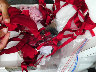 My First Honey Birdette Lingerie Unboxing - Soon to be Fuck Rags