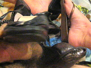 Jackiing Off At Friends Again