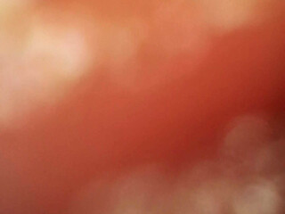 Close up of buttplug & HD Endoscope insertion