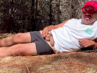 POV Secret Forest Alone