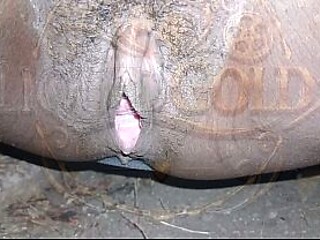 Beautiful moments taken - Pretty and juicy solo girl reveals her wet and