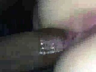 Hot amateur house wife bbc penetrated hh