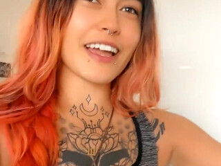 Last Live Stream