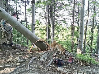 Hardcore Outdoor: Rough Handjob in Fresh Air