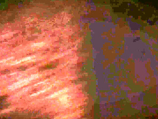 Halloween. Futanari Roughly Fucks a Girl in a Wardrobe and Ejaculates Inside Her.