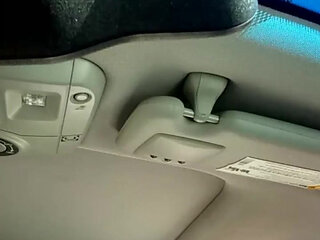 Quick Review of the Rose Vibrator