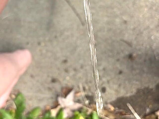Peeing Through Catheter Outside