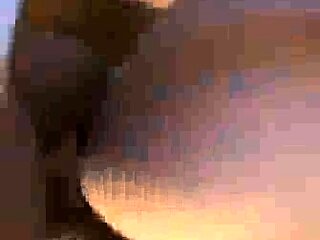 hotwife day trip with bbc bull fucks black cock in Tesla oo