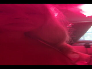 The Start of a Life Lesson Often Feels Good Stay Soft Like a Kitten