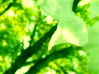 Ana Foxxx Rails Kenna James With Her Giant Green Dildo - Wicked Porn Cosplay Parody