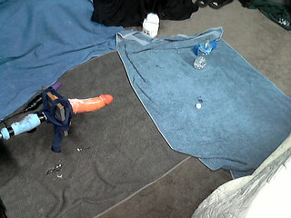 getting ass fucked doggy style