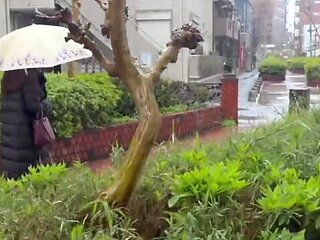 x2xF8BCE146137B755C0B