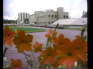 A Big Cock for Christmas