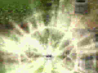 Fucking My Pregnant Stepsister in the Barn