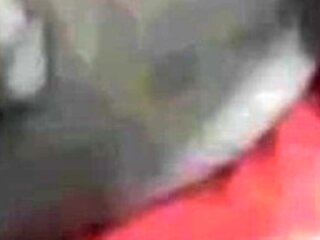 Daddy Bert's Solo Fun