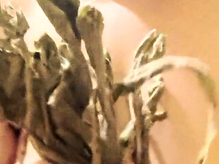 I'm in a Nudist Colony Getting Plants I'm Such a Naked Naughty Tramp