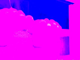 Webcam amateur tasha sky entertains a voyeurs foot fetish w