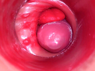 Inside a Camgirl Cervix POV Camera in Vagina with Big Dick Toy