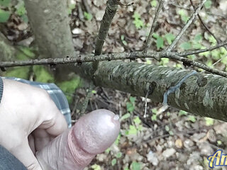 Uncut cock quick cum in city park near by road