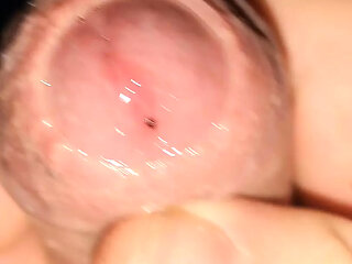 Close up cumming after long edging