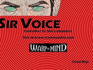 Sir Voice - Lesson 2
