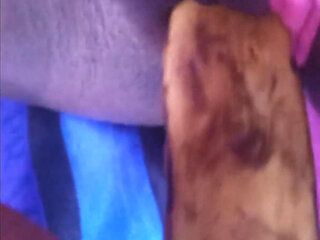 Fucking My Black Hairy Pussy with a Banana Load Moaning Orgasms