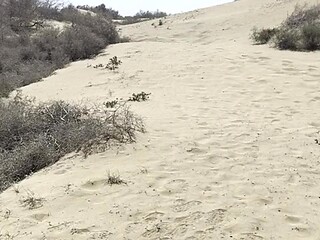 Public lovers give the best blowjobs on nude beach
