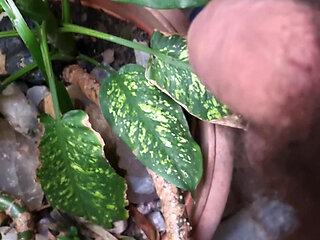 Naughty bear trimming his fur with scissors