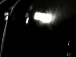 Trailer 376