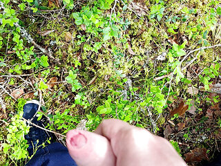 Horny in Forest