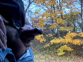 Long roadside piss and jerk