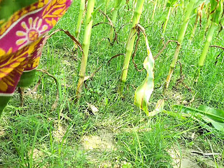 Hot Young Bhabhi Fucked Outdoor by Devar in HD Desi Video