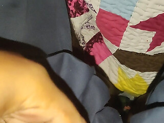 VID 20260817 022912.mp4