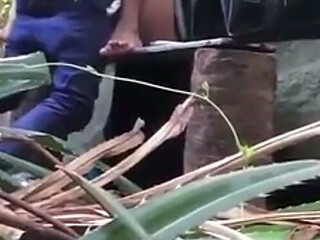 Indian Couples Are Sex in Jungle