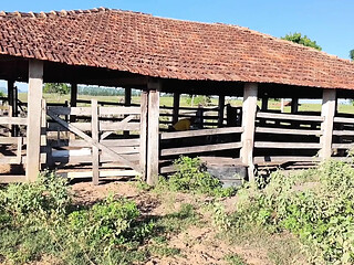 I Went to Visit My Farm and Ended up Having Sex with the Cowboy; He Fucked Me Like a Slut.
