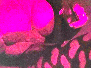 Striptease in My Dungeon