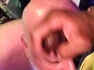 Bear Gets a Facial in the Office