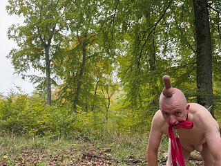 Slave trains his eggs