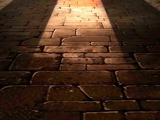 Silent Fantasy without control_20012501p0