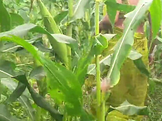 Desi Girl's Outdoor Bangladeshi Village Girl Outside