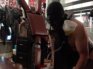 Male piss slave paddled with the cricket bat until he finishes his drink