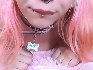 Cute Pet Girl Drink From Her Bowl