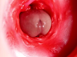 Amateur babe's pussy grips hard on big cock; camera captures anal close-up