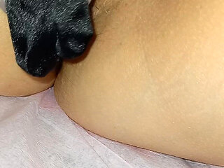 PAWG 10