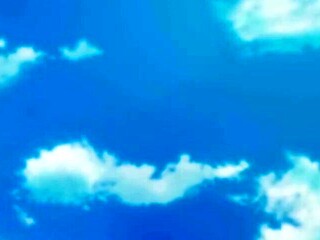 Fragile Impulse without control_19042604p0