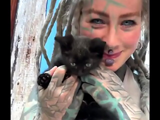 Sweet little black kitty cat ??What'_s your favorite thing about black cats?#BlackKittyLove #Sweet #CatVibes #Psyla...