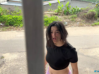 The Streetwalker, Picked up From the Street, Picked up Again at Home