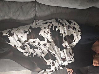 I Wanted to Take a Nap, He Wanted to Fuck My Pussy and My Ass